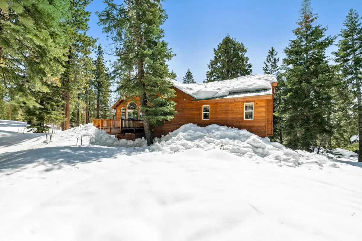 Wood home among tall pines in snow, Hastings Hideaway Cabin