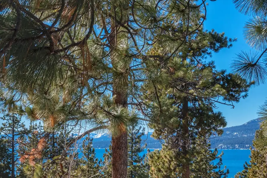 Lake visible through pine trees, Lakeview Serenity Cottage
