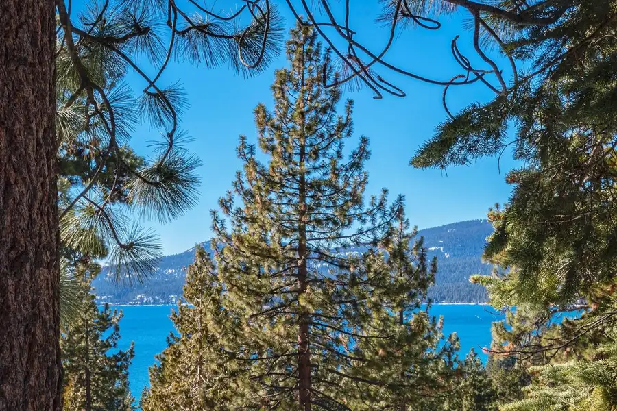 Lake and mountains seen past pine trees, Lakeview Serenity Cottage