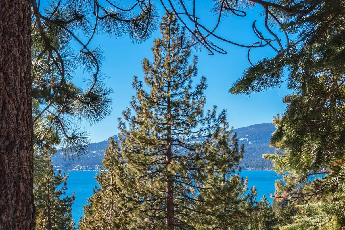 Lake and mountains seen past pine trees, Lakeview Serenity Cottage