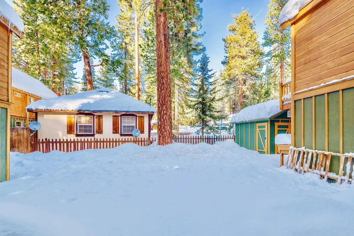 Snowy backyard with a small shed and wood fence, Trout and About