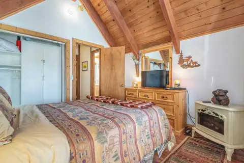 Bedroom with dresser, TV and electric stove heater, Lakeview Serenity Cottage