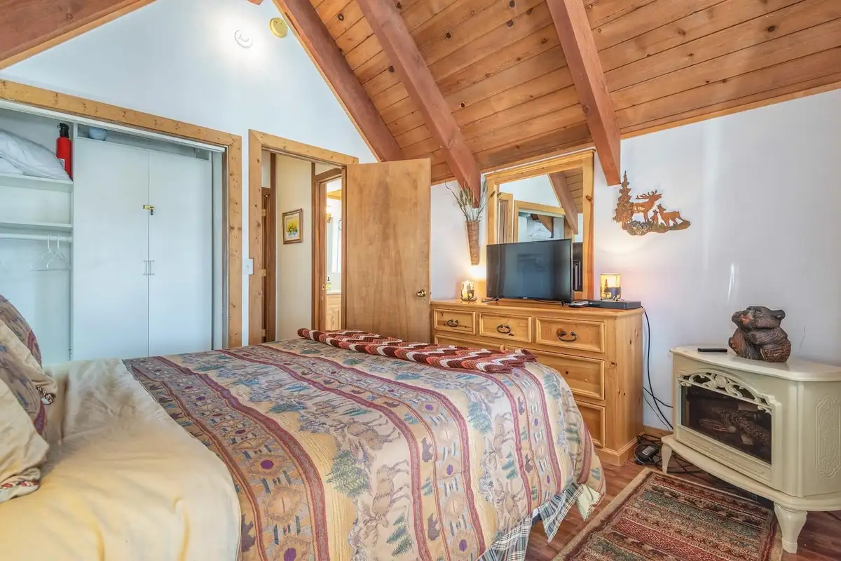 Bedroom with dresser, TV and electric stove heater, Lakeview Serenity Cottage