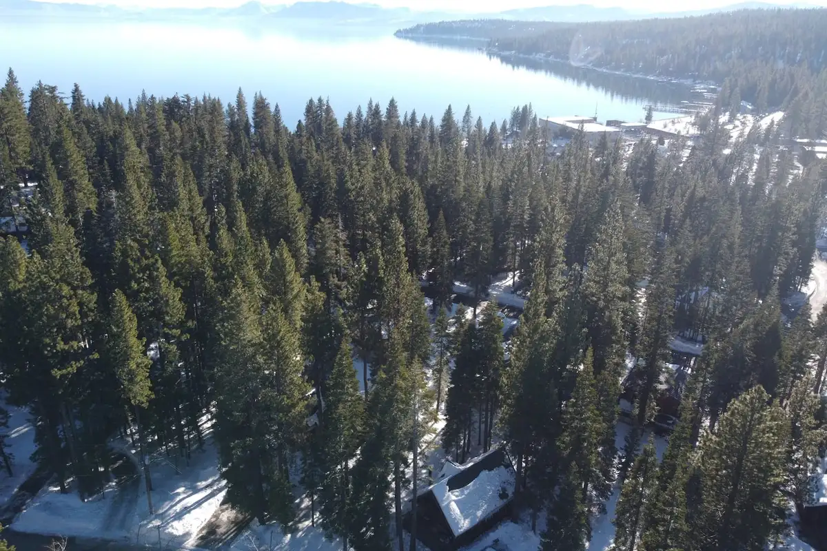 Aerial view of pine forest with Lake Tahoe beyond, Patton's Pfeiffer Cabin