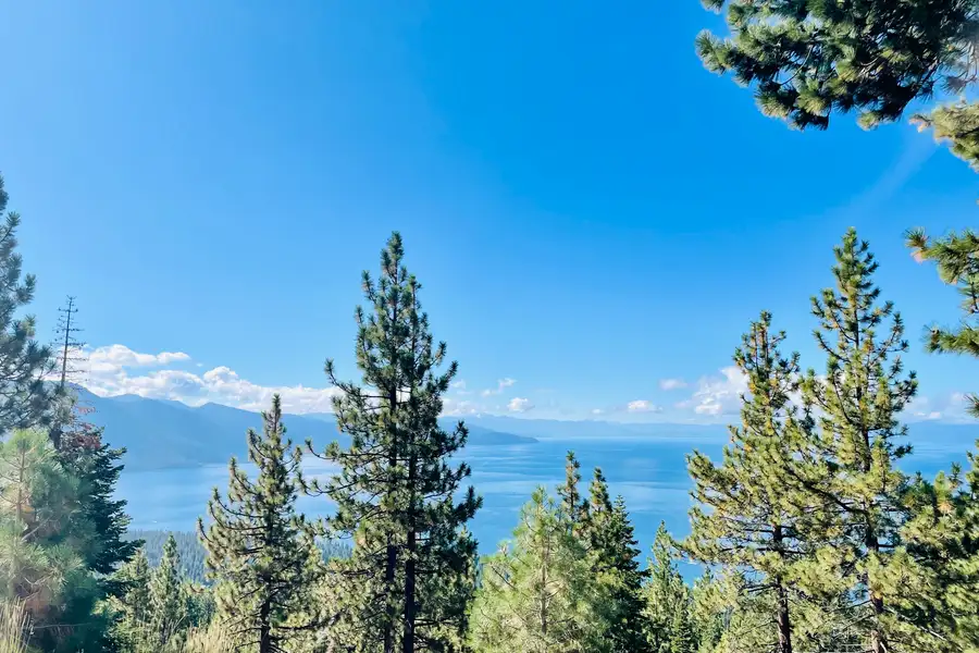 Lake view through pine trees under a blue sky, Sunlit Incline Retreat