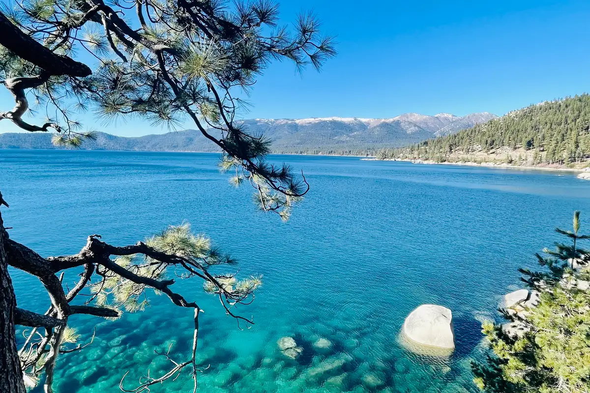 Turquoise lake seen through pine branches, Sunlit Incline Retreat