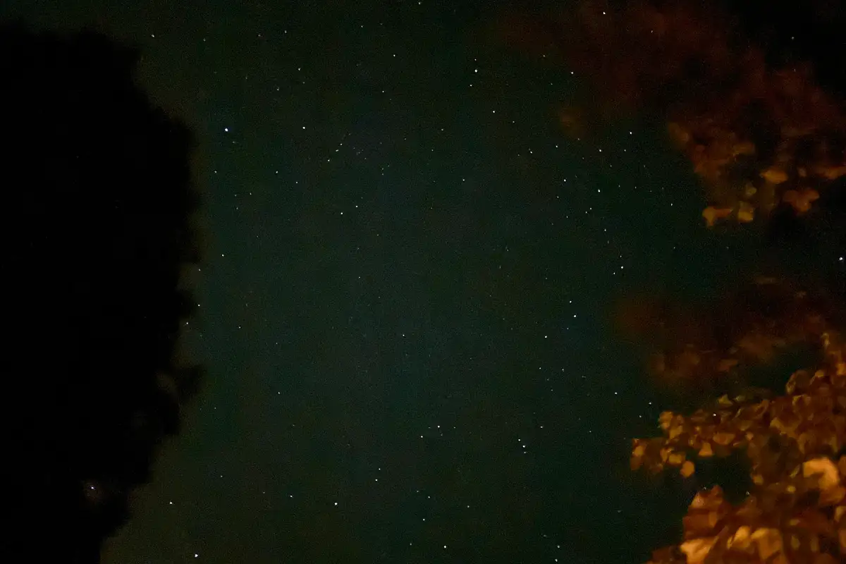 Night sky with stars above dark tree silhouettes, Incline Lakeside Haven