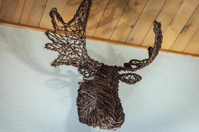 Decorative design at steller jay