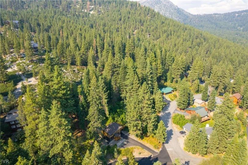 Mountain and forest views from Sugar Pine Tahoe Lodge in Incline Village, North Lake Tahoe